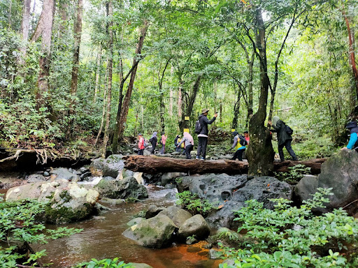 balung lost world