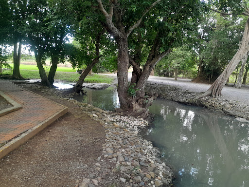 Bukit Jernih Perlis
