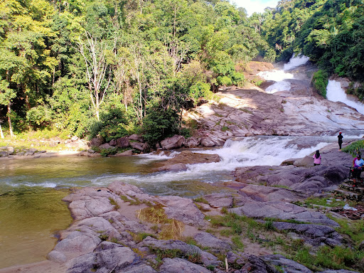 Chamang River Recreational Forest