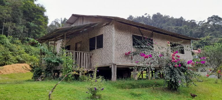 gua musang Kelantan Malaysia