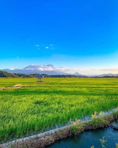 Kampung Sangkir