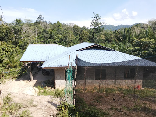 Kg Malinsau Ranau