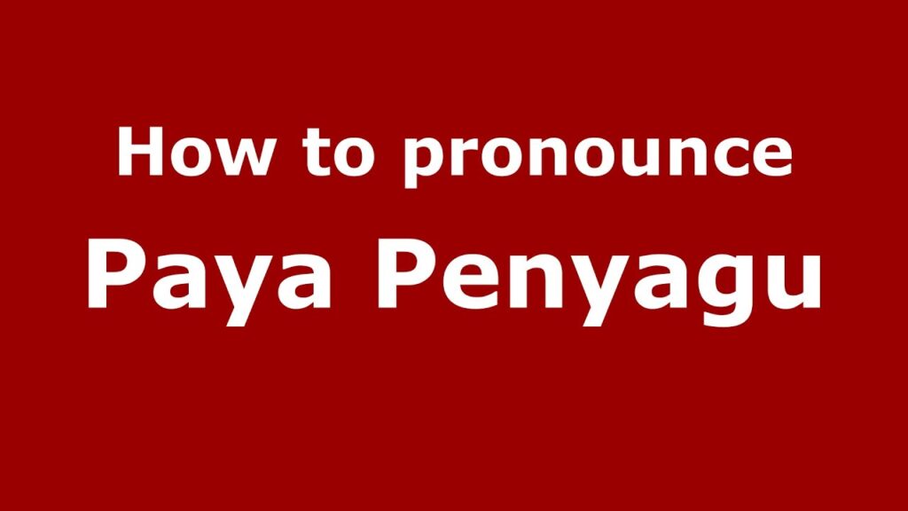 Paya Penyagu