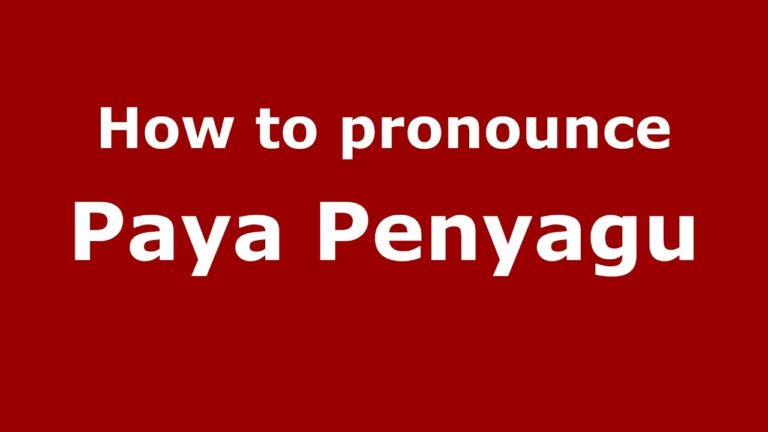 Paya Penyagu