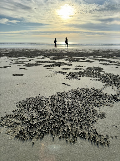 Pantai Merdeka Kampung Nanamun Kota Belud