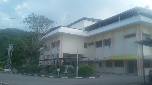 PIHAK BERKUASA PENERBANGAN AWAM (CAAM)
