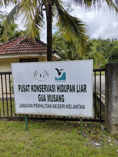 Pusat Konservasi Hidupan Liar (PKHL) (Rusa Sambar), Gua Musang