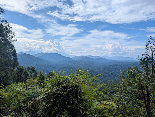 Taman Negara Malaysia