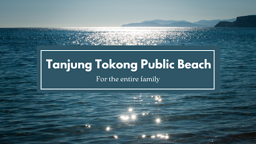 Tanjung Tokong Public Beach